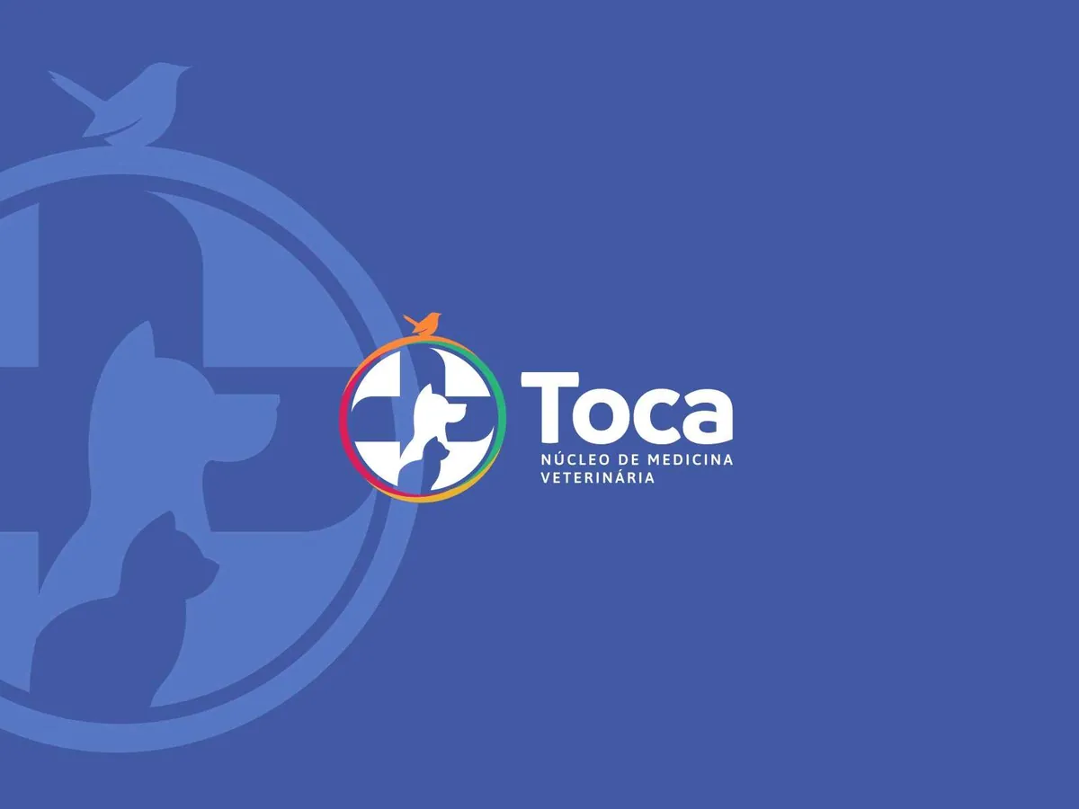 Criação de marca e identidade visual Toca Núcleo de Medicina Veterinária, pela Caviar Criativo