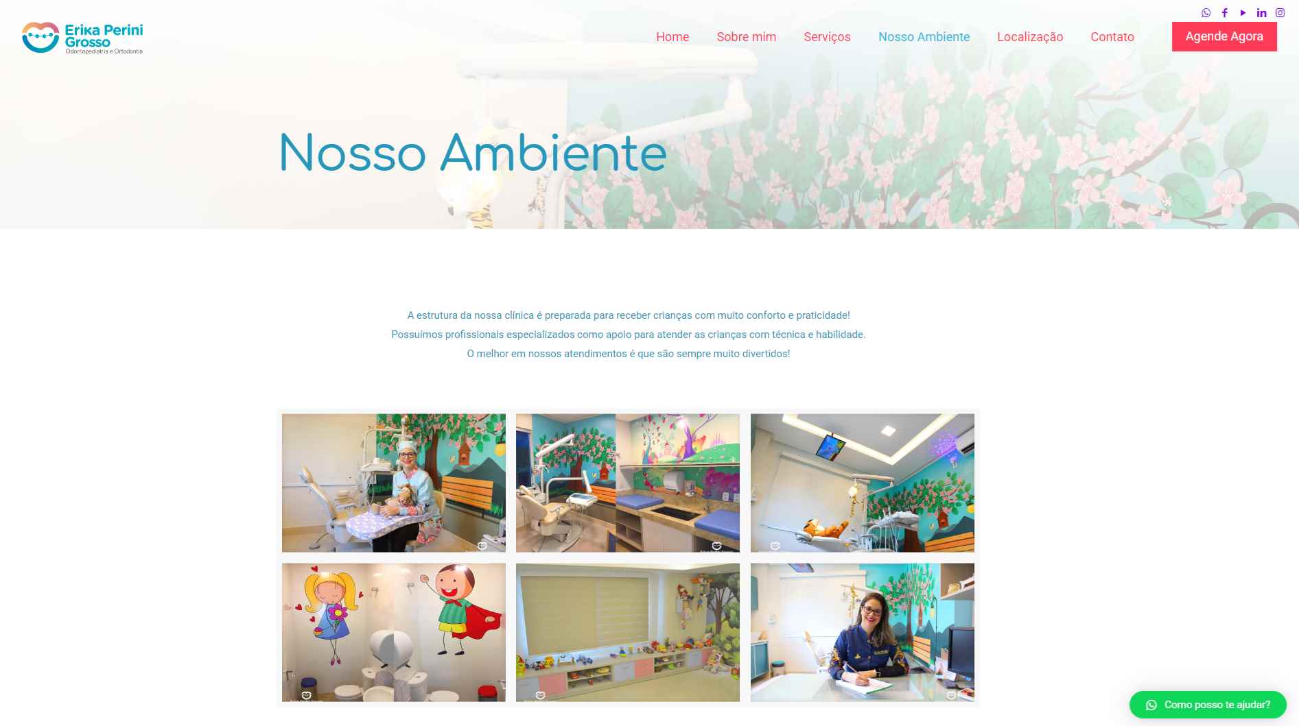 Odontopediatra Érika Perini Grosso | Desenvolvimento de Website
